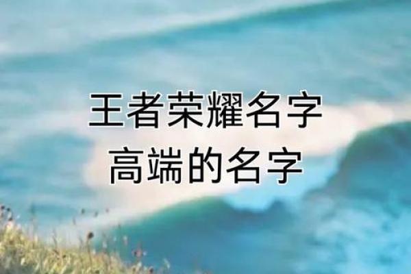揭秘王者荣耀：名字前的数字有何特殊含义？