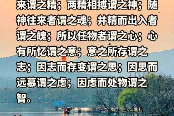 天地之气，一气化万物，探索生命奥秘