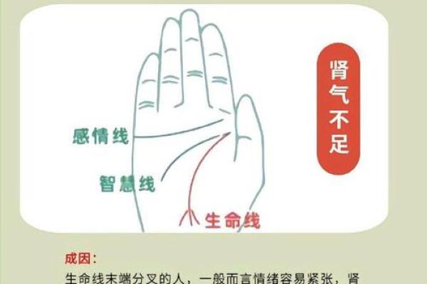 手纹解析：探寻手指间的运势秘密