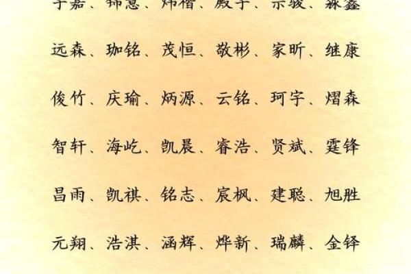 智慧之光，寓意美好的男孩名字