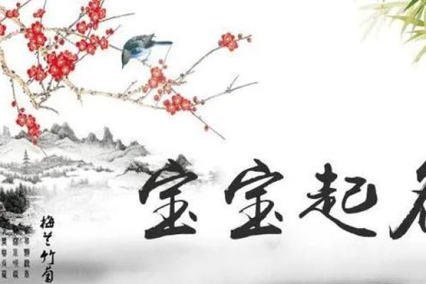 部首巧用，鸡宝宝名字精选