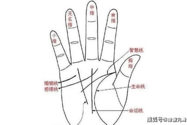 刘嘉玲手相揭秘：命运轨迹尽在掌握