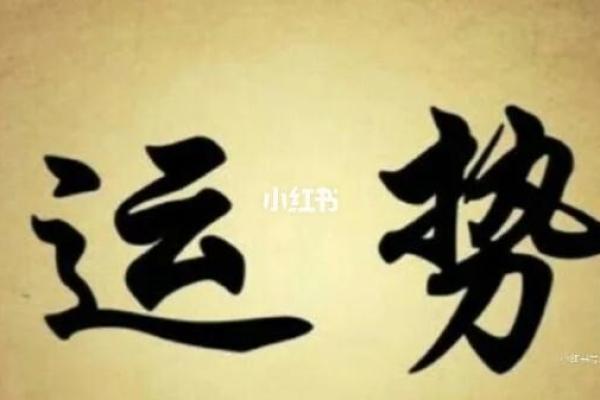 默涵之韵：探寻名字中的和谐与运势