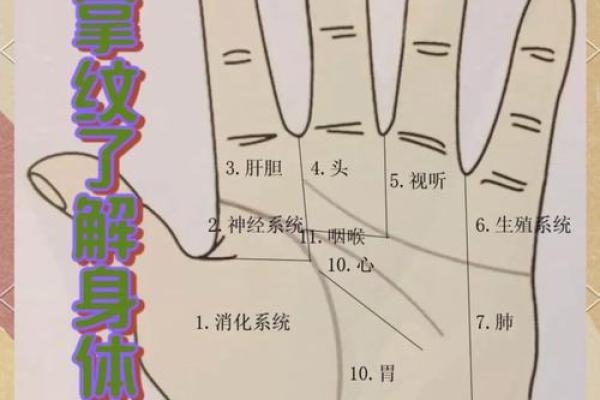 手掌中的命运密码：揭秘你的未来