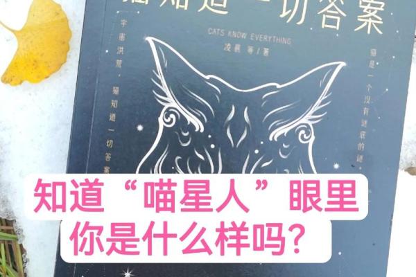 喵星人的神秘命运：揭秘猫咪的宿命轨迹