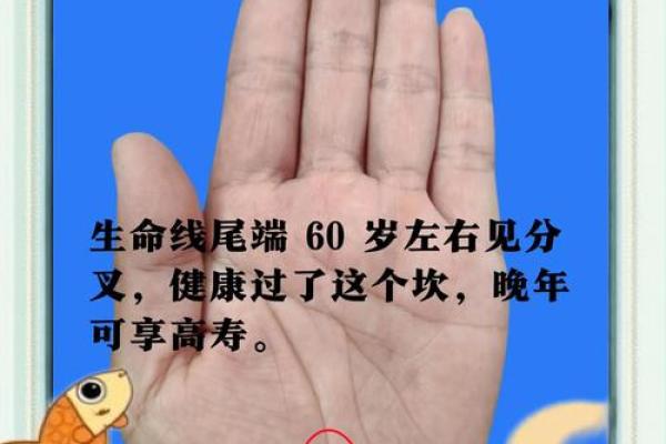 神秘手相图解：痣的位置揭示命运密码