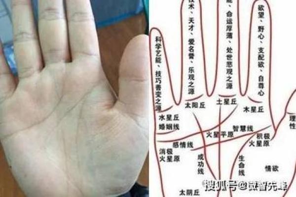 手相揭秘：揭秘多段婚姻的秘密，你了解自己的命运吗？