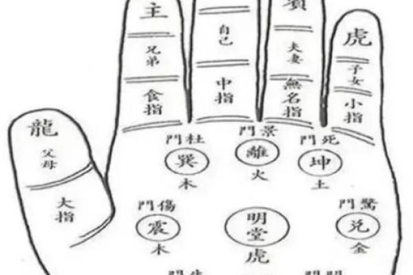 无师自通手相秘籍