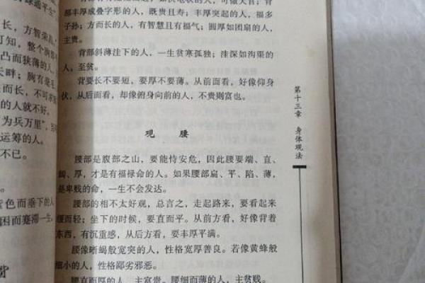 无师自通手相秘籍