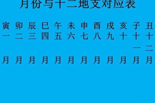 地支运势揭秘：揭秘你的命运吉凶与运势走向