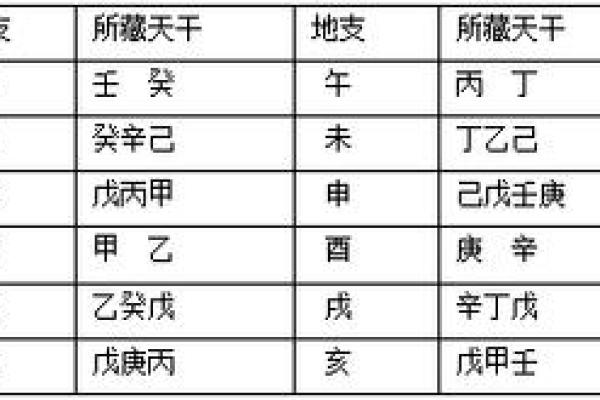 八字命理升级版：深入浅出地支藏干解析