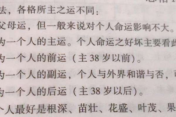 年干命理学：探寻命运之谜，掌握人生航向