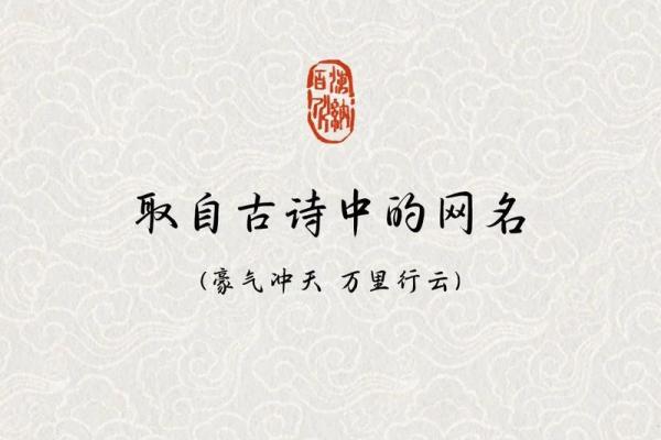 传统文化底蕴赋予网名独特韵味
