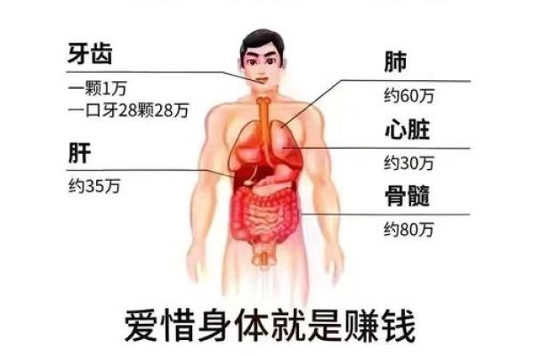 不看面相也能赚钱？揭秘命理界的黄金法则！