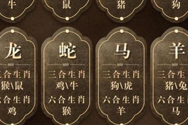墙内乾坤：垣城命理，揭示你一生的运势走向！