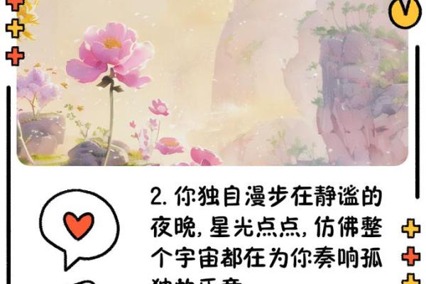 孤寂的名字背后隐藏的深沉秘密