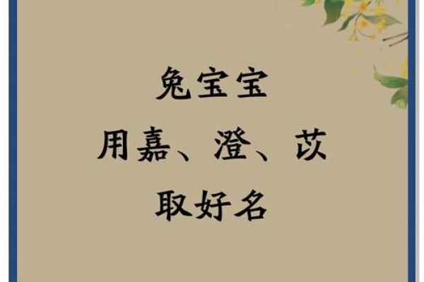 嘉辰名字的寓意与象征解析
