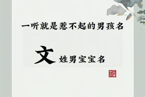 嘉辰名字的寓意与象征解析