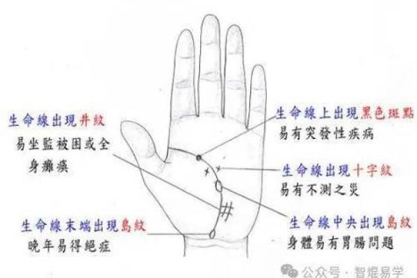 斗纹手相揭秘：命运线中的财富密码
