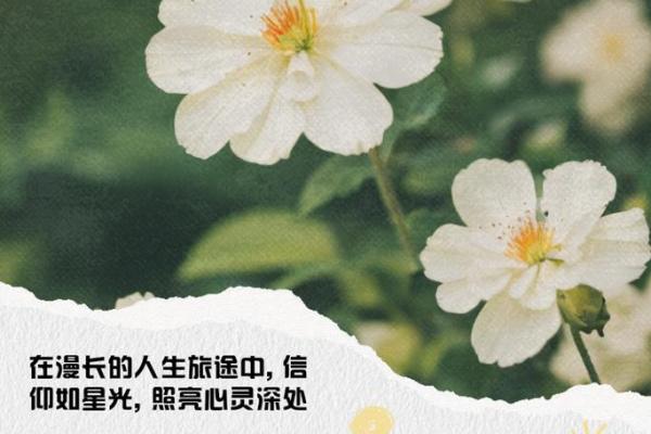 宇信：星辰大海，慧眼识金贵，人生璀璨如星辰