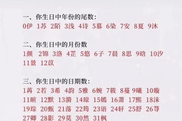 苏古风名字的魅力与命名技巧解析