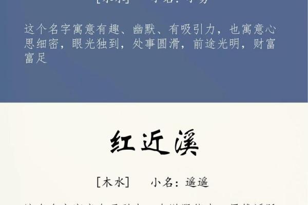 苏古风名字的魅力与命名技巧解析