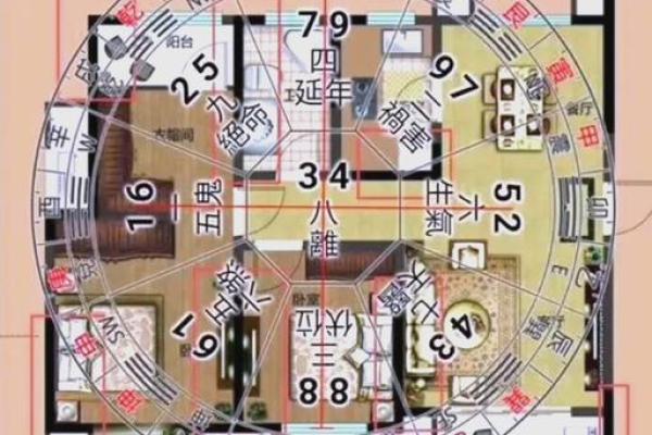 家居风水大揭秘：哪些布局能让你的家财运亨通？