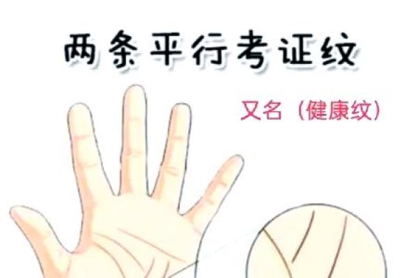 同手不同心：揭秘男女手相的神奇差异