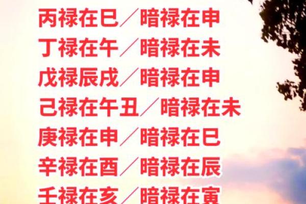 命理终须有，揭秘命运奥秘