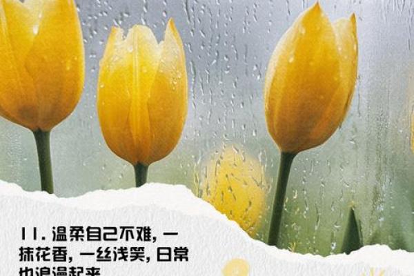 邵初夏：夏花初绽，初夏之梦，邵家女子的璀璨人生