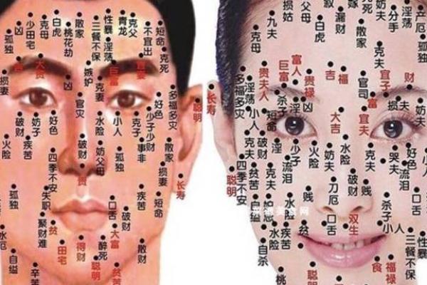 面相学大揭秘：男人脸部痣相预示的运势解析