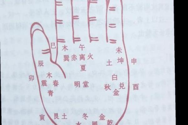 短寿之手，揭秘手相中的生死奥秘