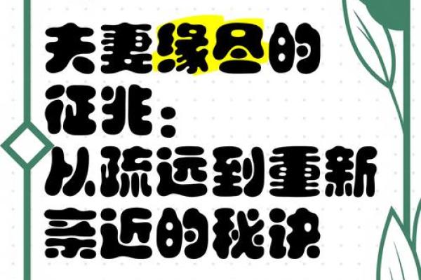 离婚背后的地支之谜，夫妻缘尽竟源于此