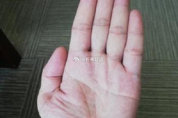 神奇手相测娃术，预知宝宝未来潜力无限