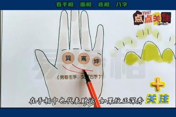 手相揭秘：3宫力量解析，揭秘你的事业财运