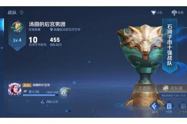 揭秘王者荣耀战队名字：霸气侧漏，威震四方＿
