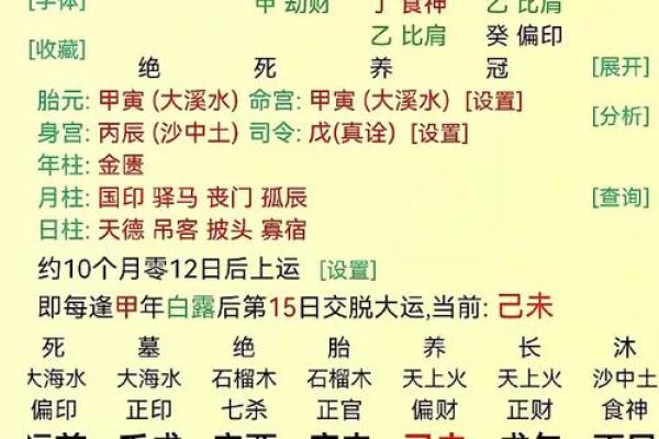 八字中官运深藏不露？地支藏官秘诀教你轻松看透