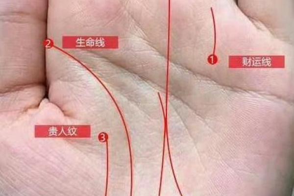 掌中运势大揭秘：手相贵人线，助你一臂之力！
