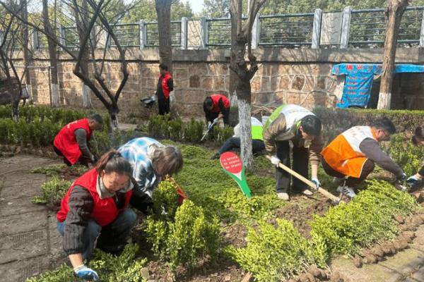 春回大地，植树节：共筑绿色家园