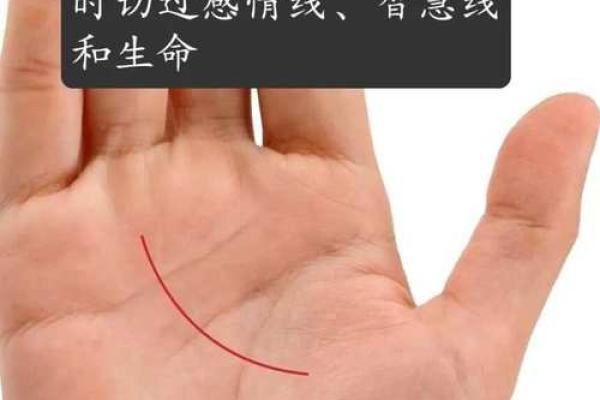 揭秘手纹：颈椎健康密码一探究竟