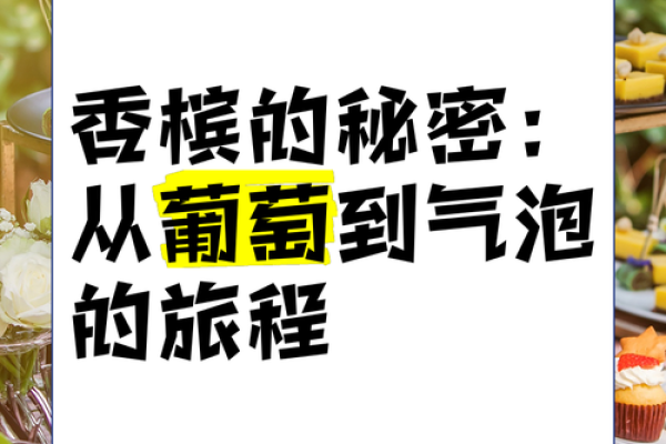 香槟泡沫中的传说：法国葡萄园的丰收庆典