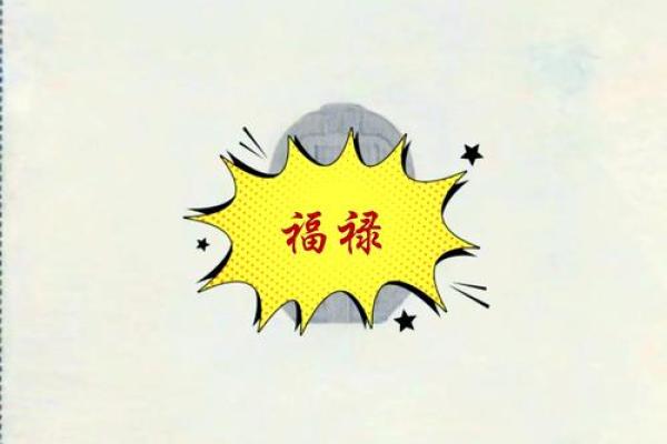 禄命相承：探寻你的八字奥秘