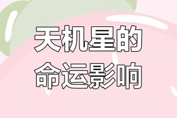 天机揭秘：揭秘命运密码，改变一生的运势指南