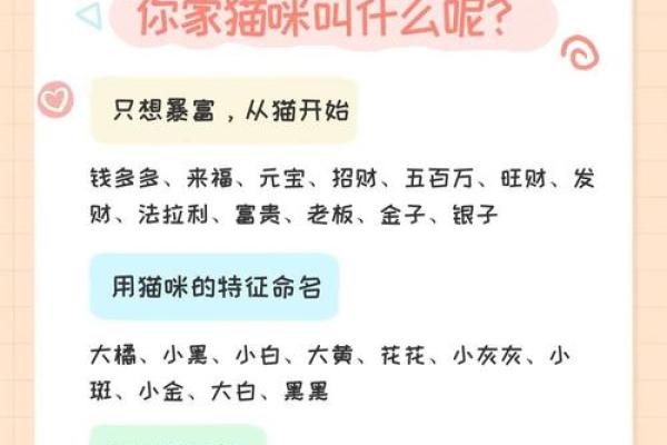 鸡宝宝取名的美好寓意：嘉乐双关