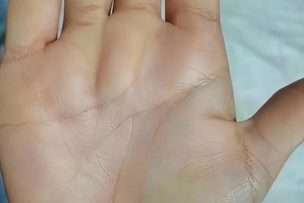 手掌秘语，揭秘人生轨迹