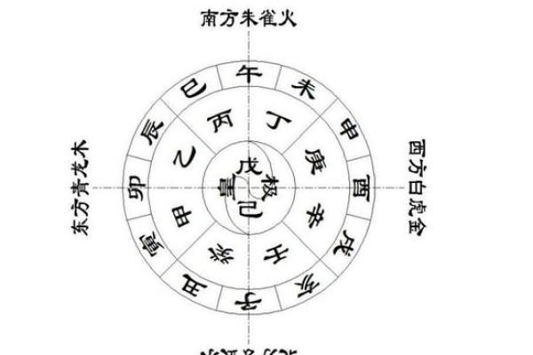 年月地支巧搭配，财运亨通的秘密武器