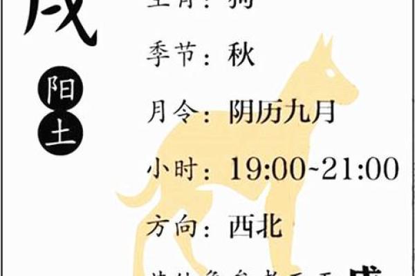 八字酉戌相害：探寻命理中的禁忌之地