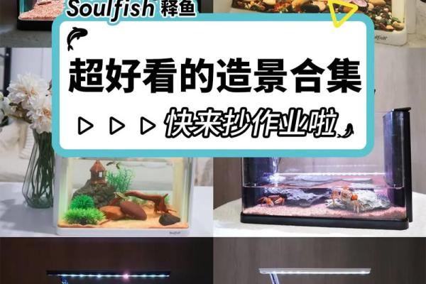 鱼缸办公室布局指南：打造风水宝地的五大要点