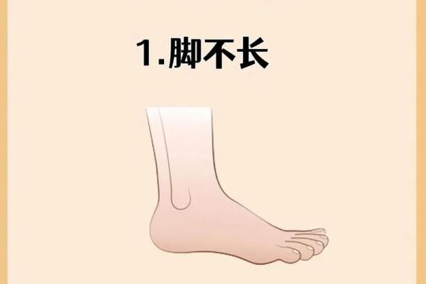 小个子面相：矮身材中的智慧之光