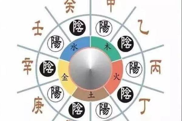 探秘五行，八卦地支图解大全